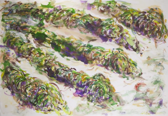 La huerta en la playa