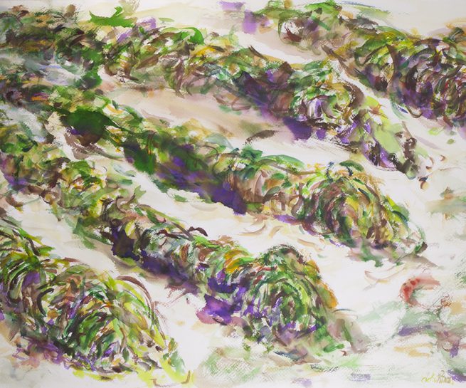 La huerta en la playa