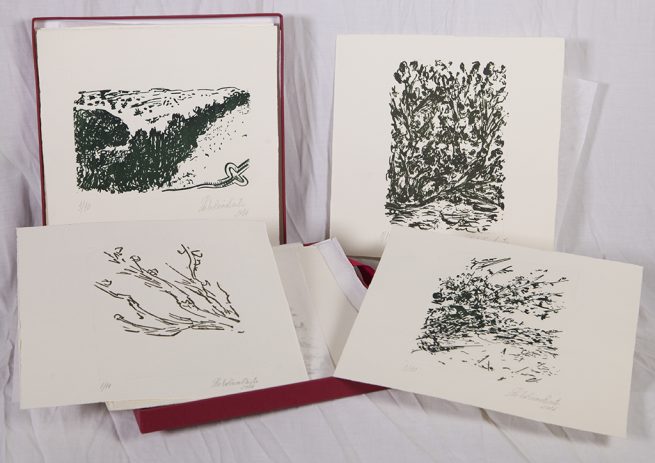 Libro de autor de grabados