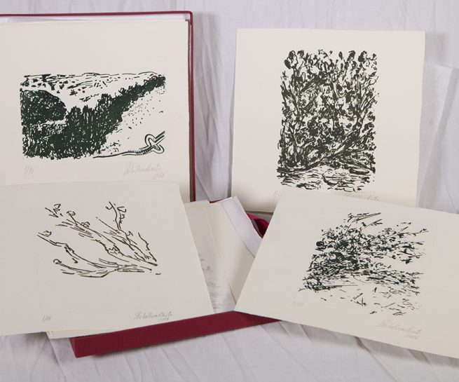 Libro de autor de grabados