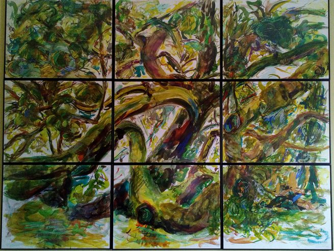 La casa de muchas especies