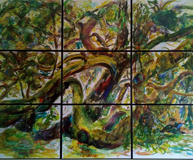 La casa de muchas especies